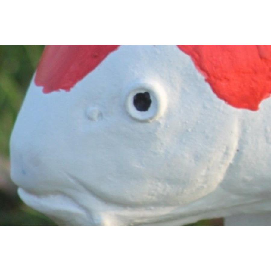 Kohaku koi van beton – Vijverbeeld-7