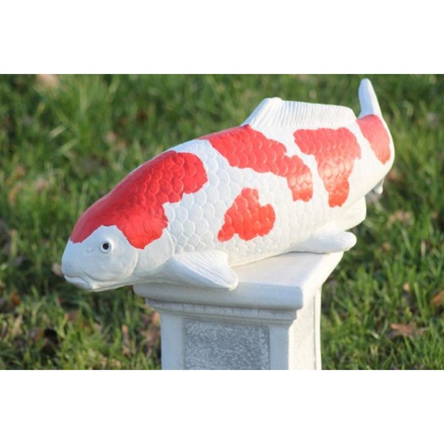 Kohaku koi van beton – Vijverbeeld-8