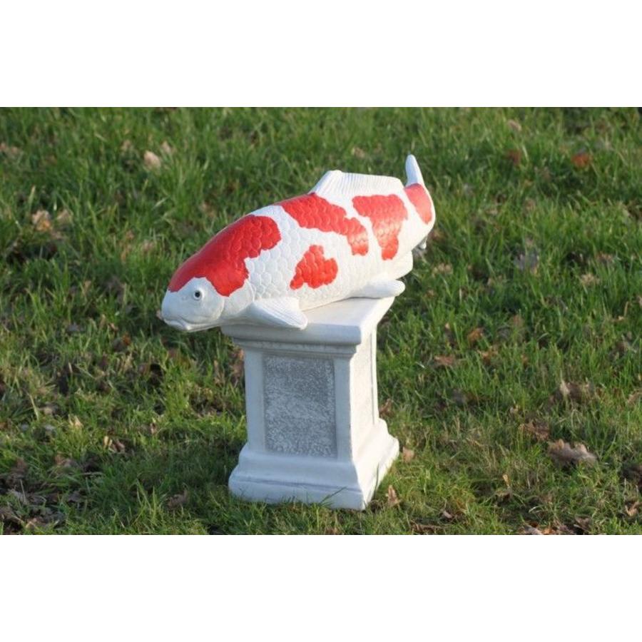Kohaku koi van beton – Vijverbeeld-9