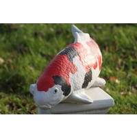 thumb-Showa koi van beton – Vijverbeeld-1