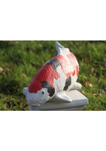 Betonnen beeld showa koi 