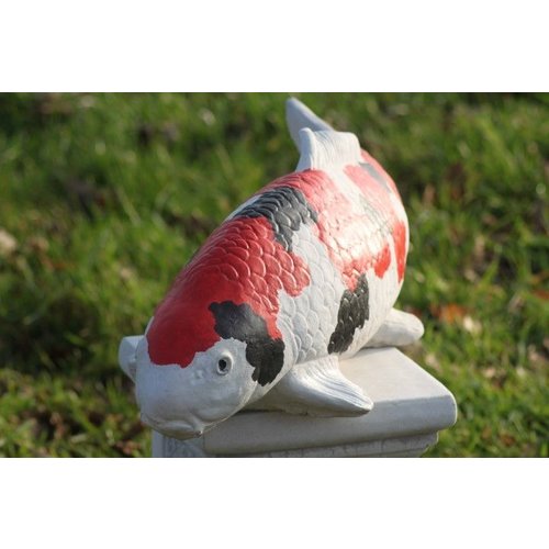 Betonnen beeld showa koi 