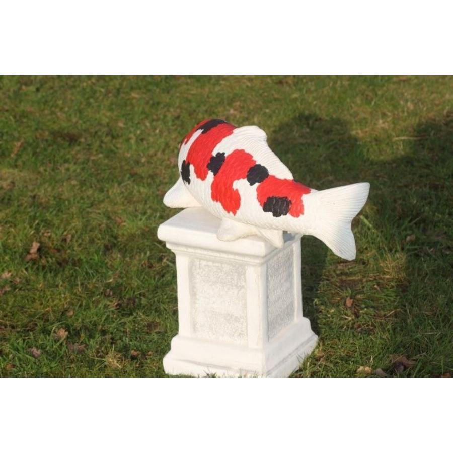 Showa koi van beton – Vijverbeeld-5