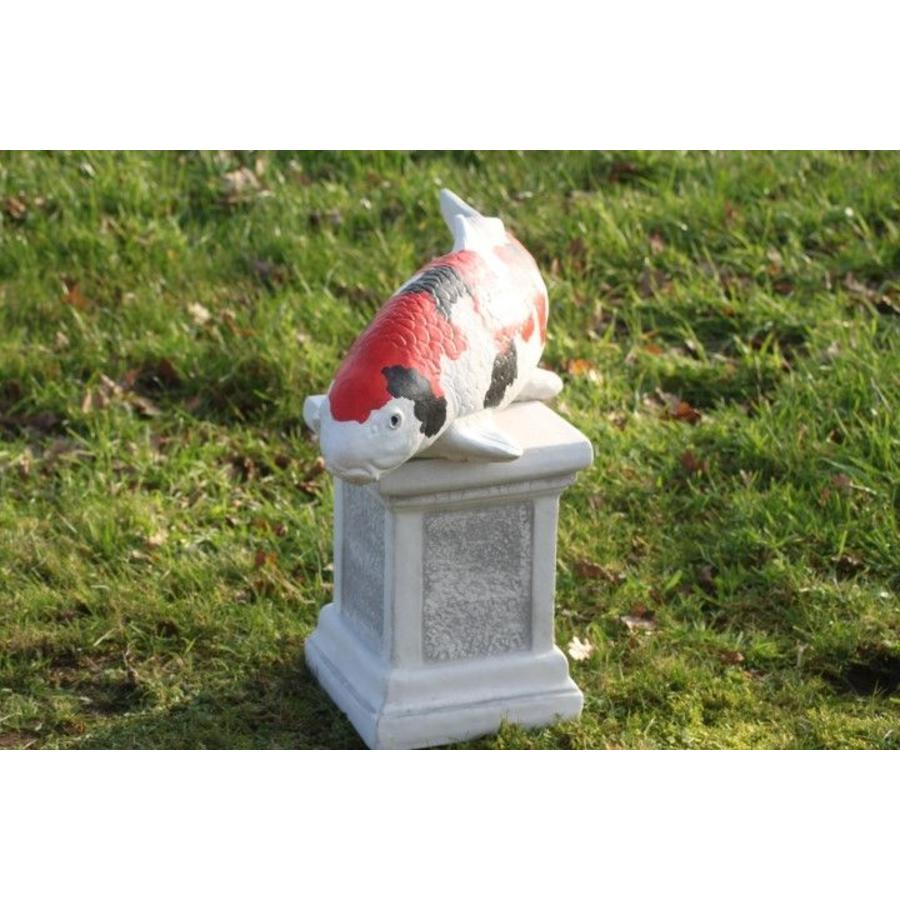 Showa koi van beton – Vijverbeeld-8