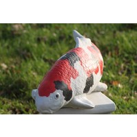 thumb-Showa koi karper Tuinbeeld-9