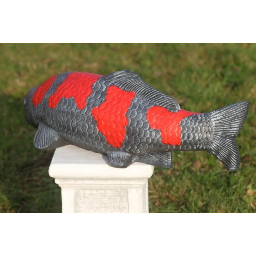 Goshiki koi van beton – Vijverbeeld-4