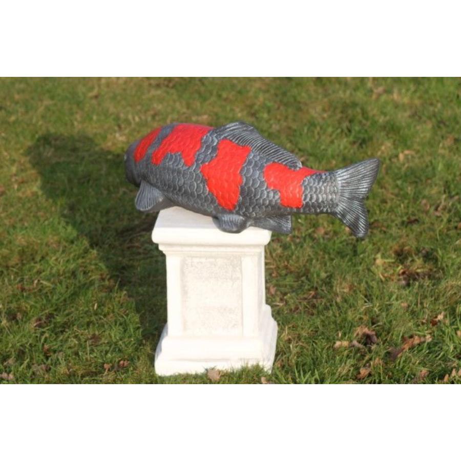 Goshiki koi van beton – Vijverbeeld-5