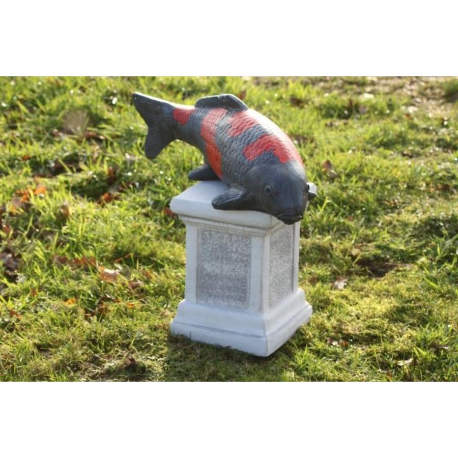 Goshiki koi van beton – Vijverbeeld-9