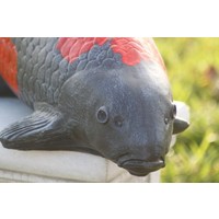 thumb-Goshiki koi van beton – Vijverbeeld-10