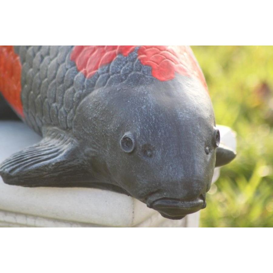 Goshiki koi van beton – Vijverbeeld-10