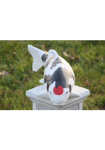 Betonnen beeld tancho showa 