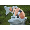 LoodsVol, Tuinbeelden Showa koi in oranje van beton – Vijverbeeld