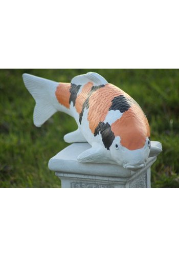 Betonnen beeld showa koi karper oranje 