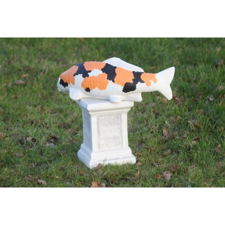 Showa koi in oranje van beton – Vijverbeeld-2