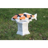 Showa koi in oranje van beton – Vijverbeeld