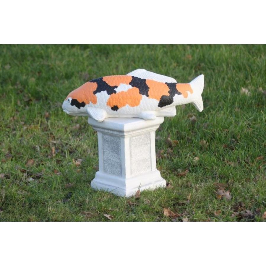 Showa koi in oranje van beton – Vijverbeeld-3