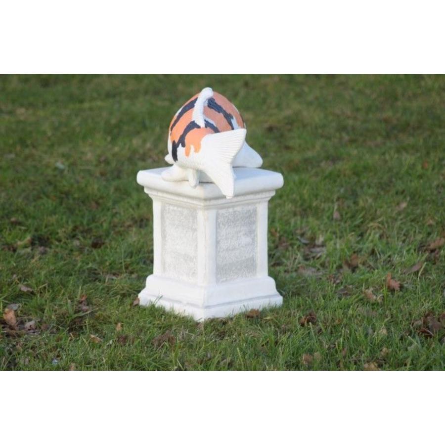 Showa koi in oranje van beton – Vijverbeeld-7