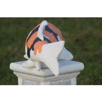 thumb-Showa koi in oranje van beton – Vijverbeeld-8