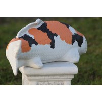 thumb-Showa koi karper in oranje kleur Tuinbeeld-9