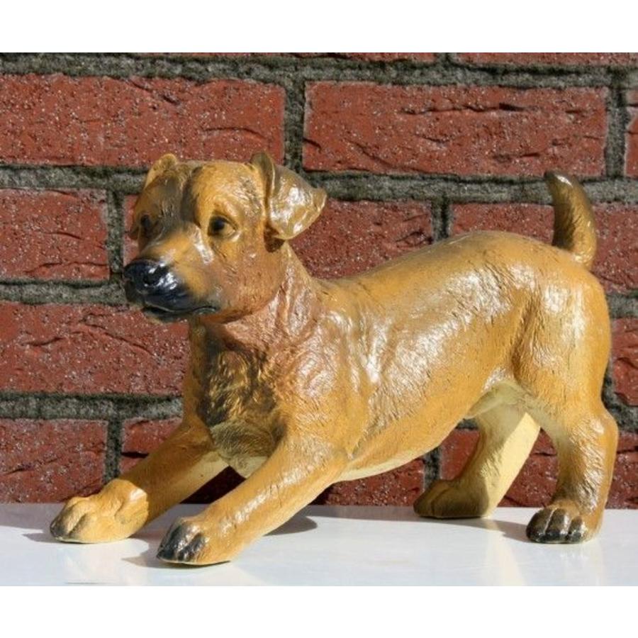 Kunststof bruin hondje van polyester voor binnen of buiten-1