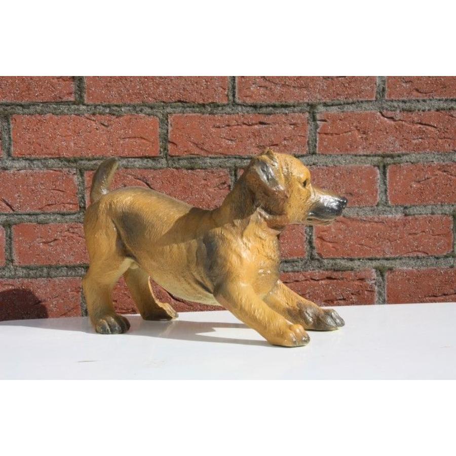 Kunststof bruin hondje van polyester voor binnen of buiten-2