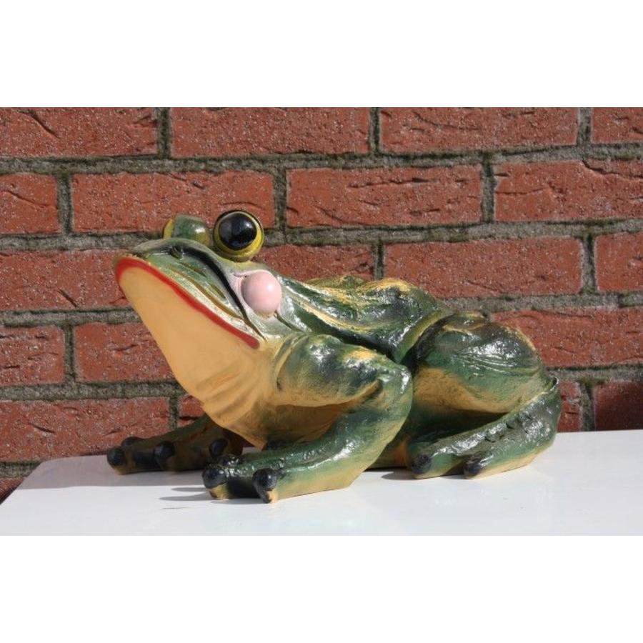 Grappige Hars Kikker Beeldje – Fotograaf Kikker Sculptuur, 15x5x12 Cm, Voor Tuin, Terras Of Binnen Decoratie