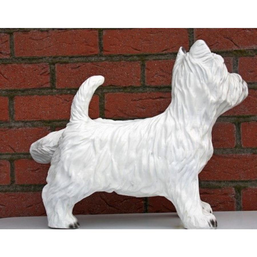 Kunststof hond terriër als tuin- of kamerdecoratie-3