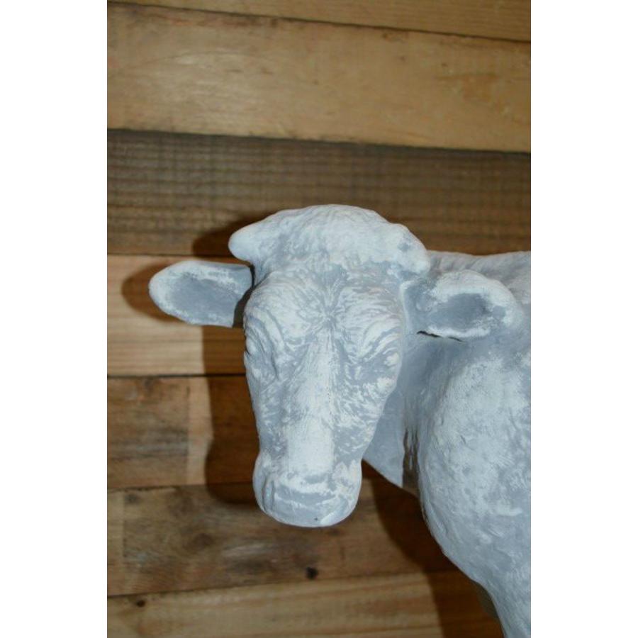 Betonnen beeld koe – Naar links kijkend tuinbeeld-2