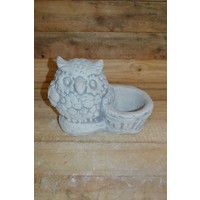 thumb-Betonnen beeld uil met plantenbakje – Wijze uil voor tuin of vensterbank-1