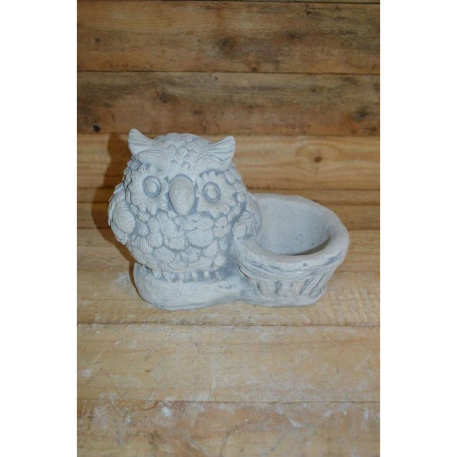 Betonnen beeld uil met plantenbakje – Wijze uil voor tuin of vensterbank-1