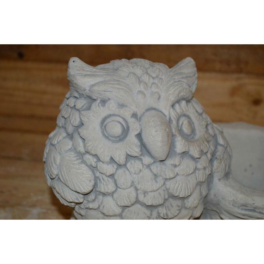 Betonnen beeld uil met plantenbakje – Wijze uil voor tuin of vensterbank-4