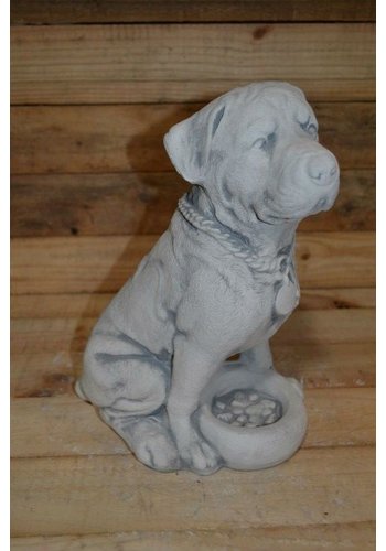 Betonnen Rottweiler met voerbakje 