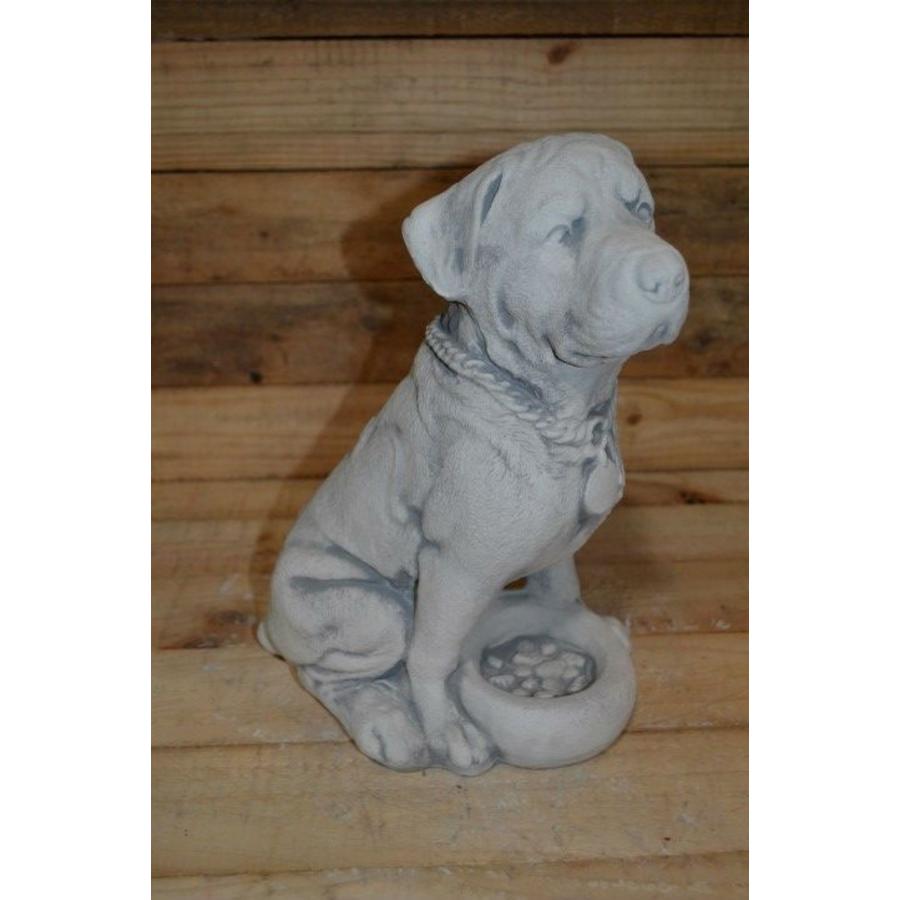 Betonnen Rottweiler met voerbakje – Decoratief hondenbeeld-1