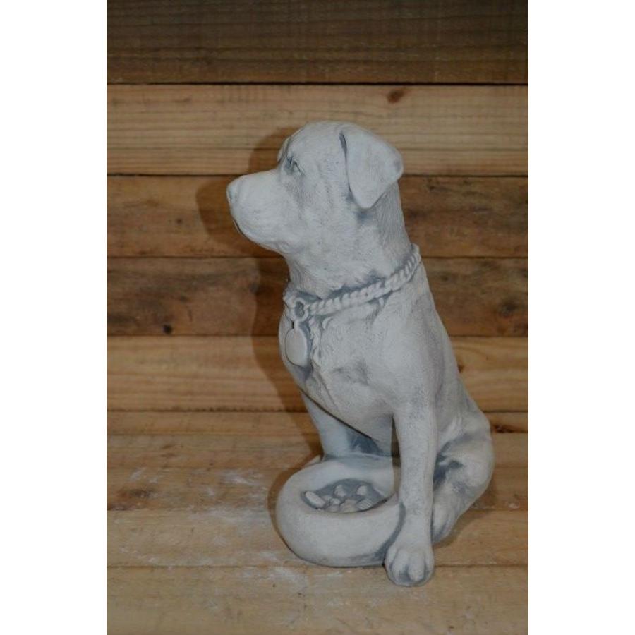 Betonnen Rottweiler met voerbakje – Decoratief hondenbeeld-2