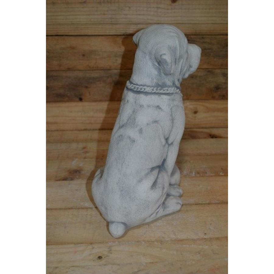 Betonnen Rottweiler met voerbakje – Decoratief hondenbeeld-3