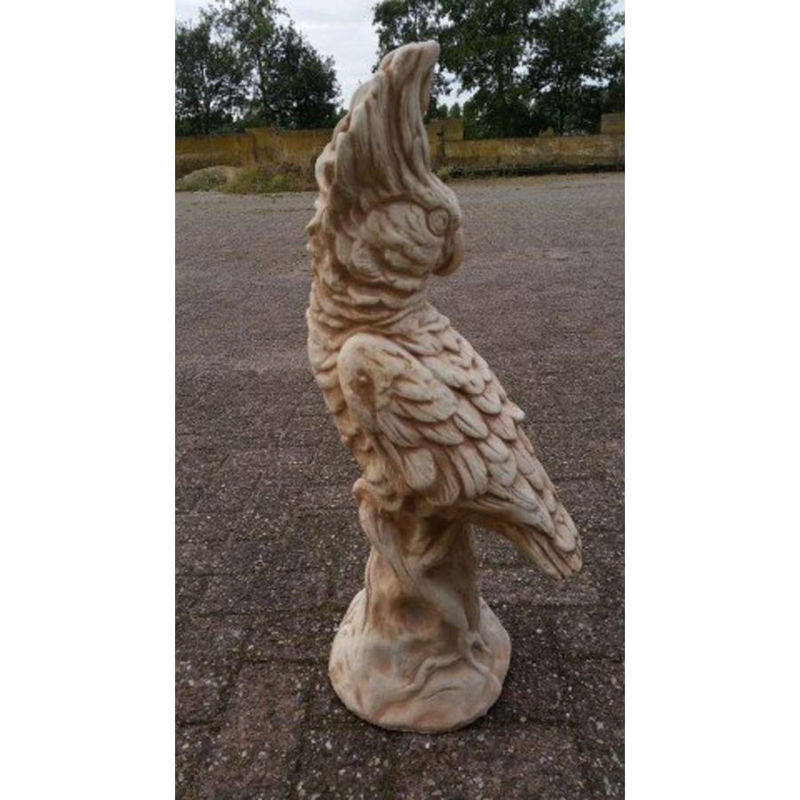 Betonnen beeld kaketoe papegaai voor in de tuin-2