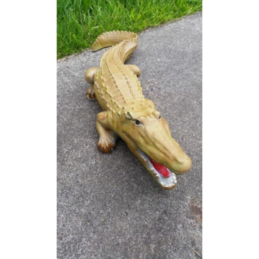 krokodil, Alligator of kaaiman-6