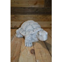 thumb-Schildpad-1