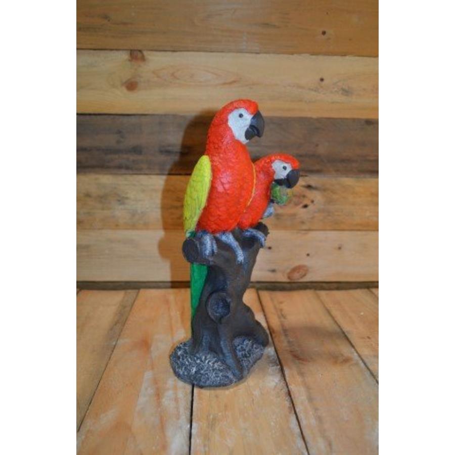 Betonnen beeld papegaaien – Twee ara’s op boomstronk tuinornament-1