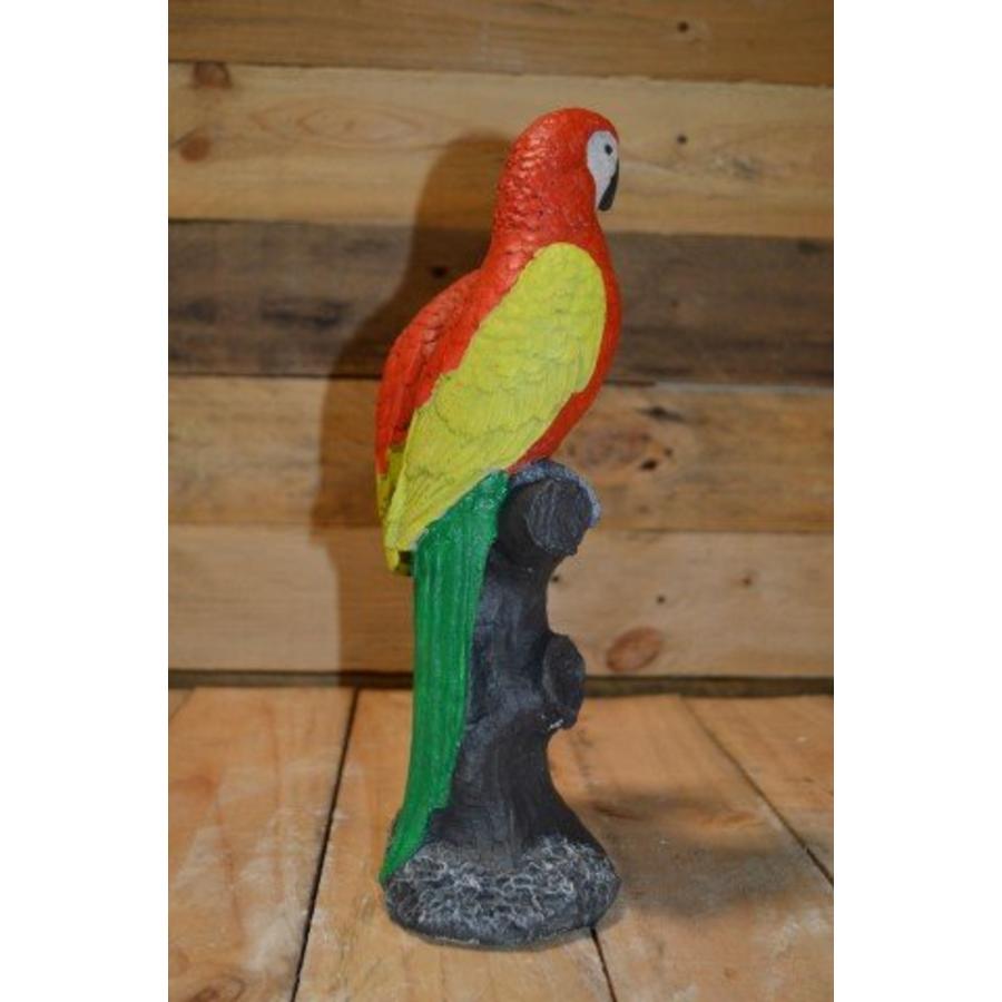 Betonnen beeld papegaaien – Twee ara’s op boomstronk tuinornament-4