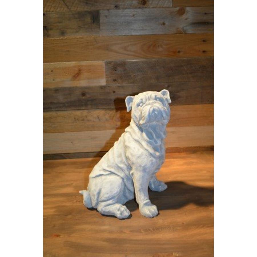 Buldog – natuurgetrouw betonnen beeld voor tuin of terras-2