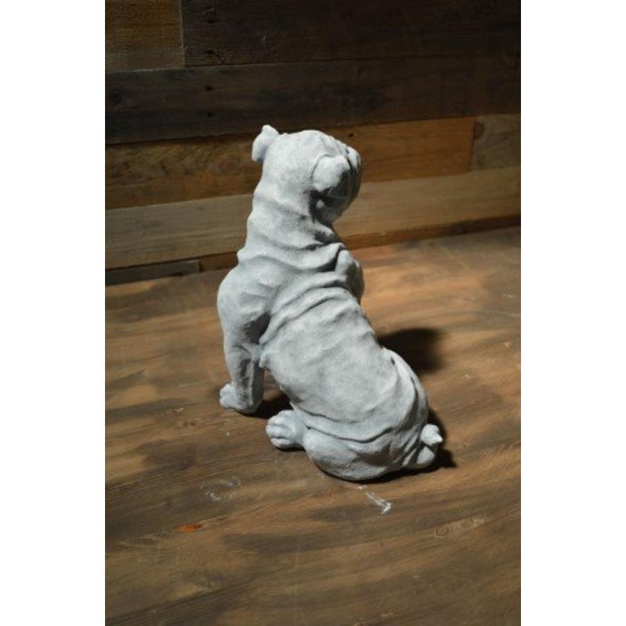 Buldog – natuurgetrouw betonnen beeld voor tuin of terras-4