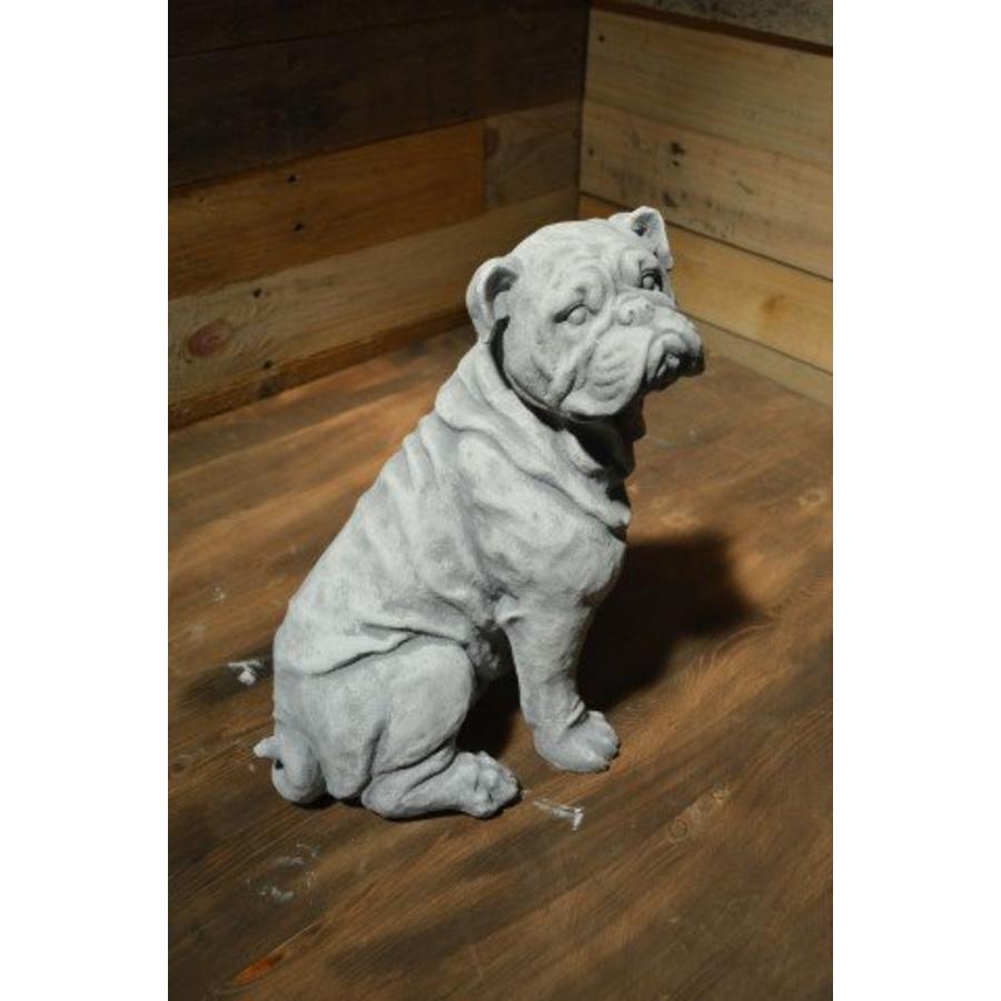 Buldog – natuurgetrouw betonnen beeld voor tuin of terras-1