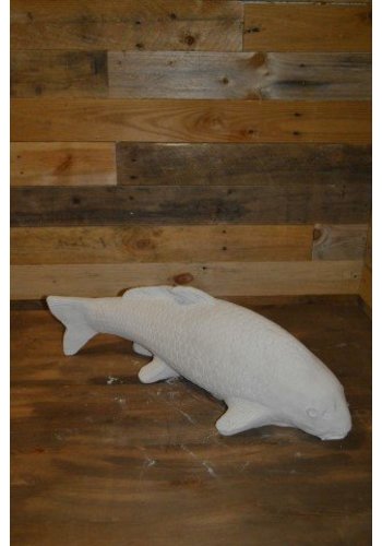 Betonnen beeld Koi natuurgetrouw 