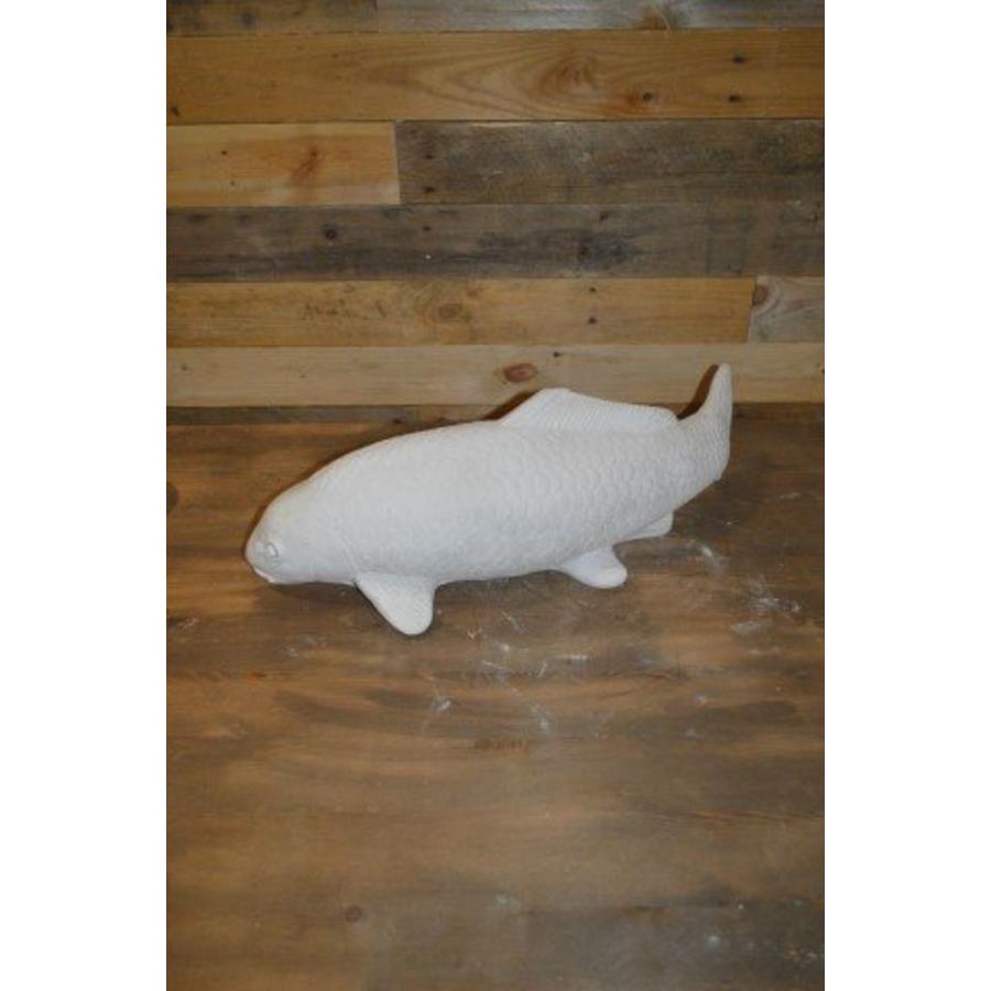 Koi Karper – natuurgetrouwe betonnen Nishikigoi voor vijver-4