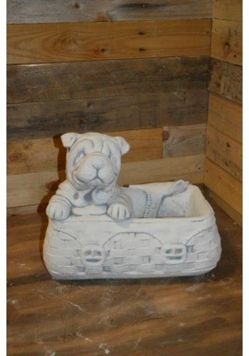 Betonnen beeld hond in tas 