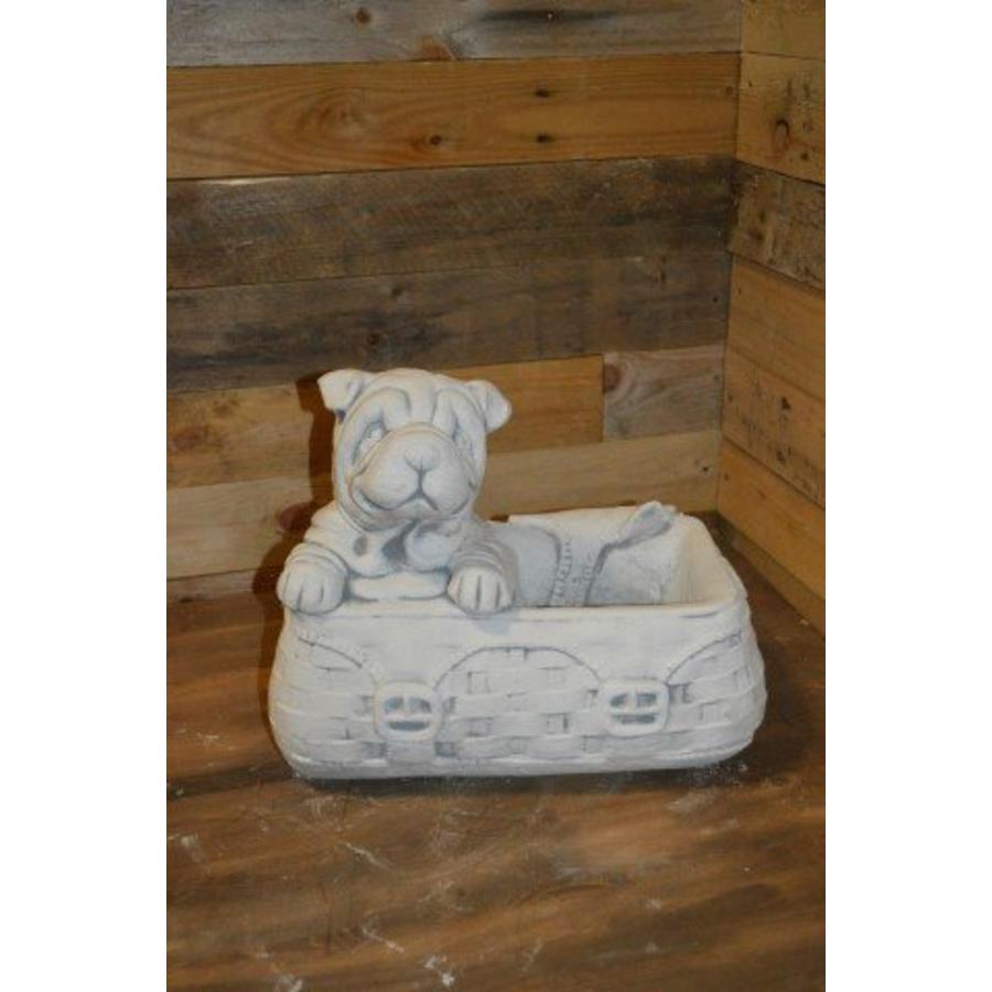 Hond in tas – betonnen bloembakje voor kleine plant-1