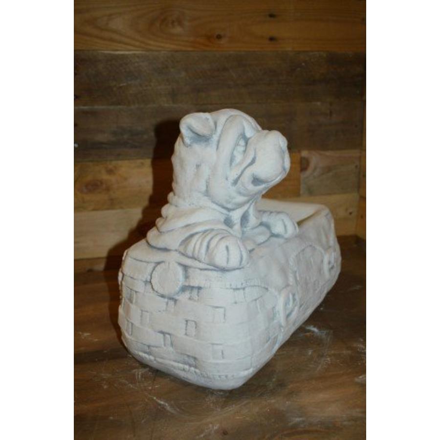 Hond in tas – betonnen bloembakje voor kleine plant-2