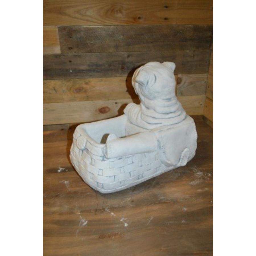 Hond in tas – betonnen bloembakje voor kleine plant-3