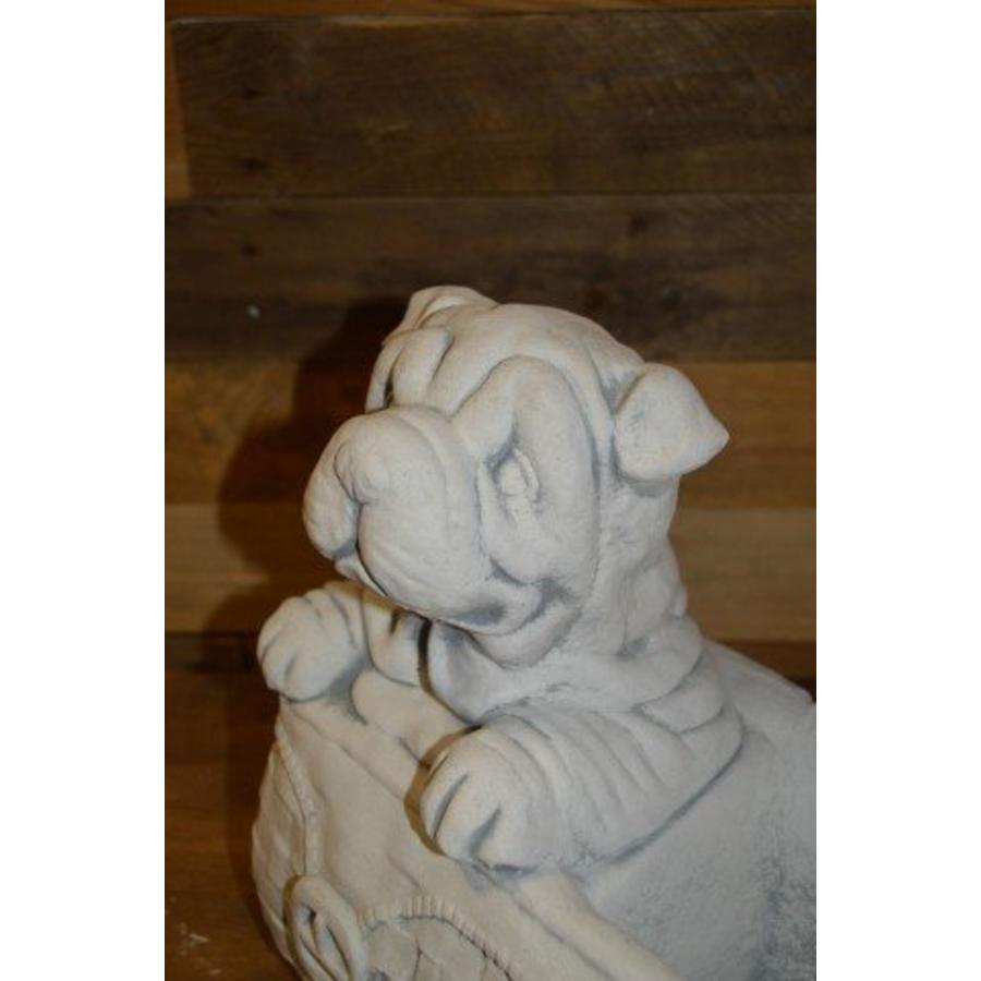 Hond in tas – betonnen bloembakje voor kleine plant-4